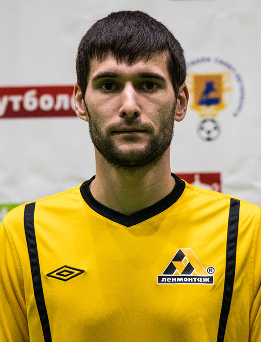 Александр Лигачев
